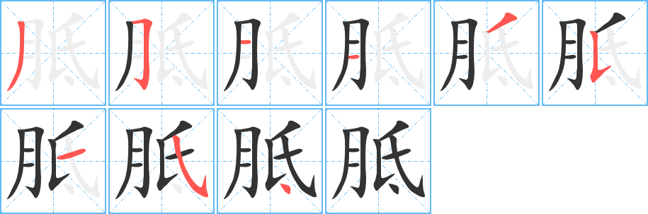 胝的筆順筆畫