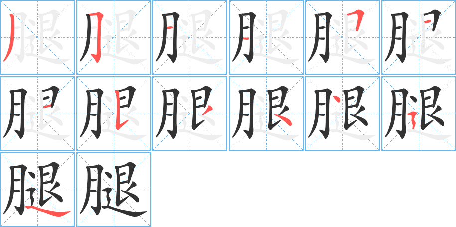 腿的筆順筆畫