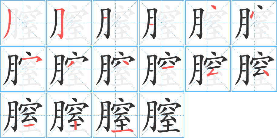 膣的筆順筆畫