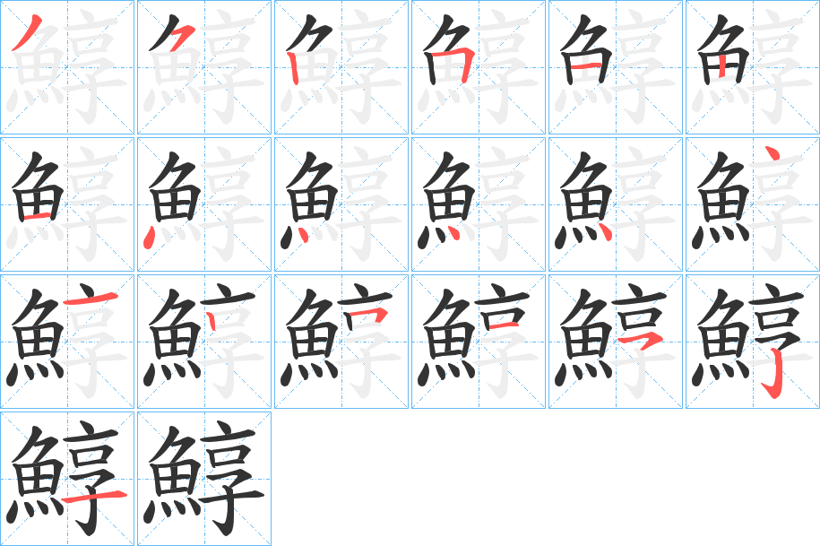 鯙的筆順筆畫